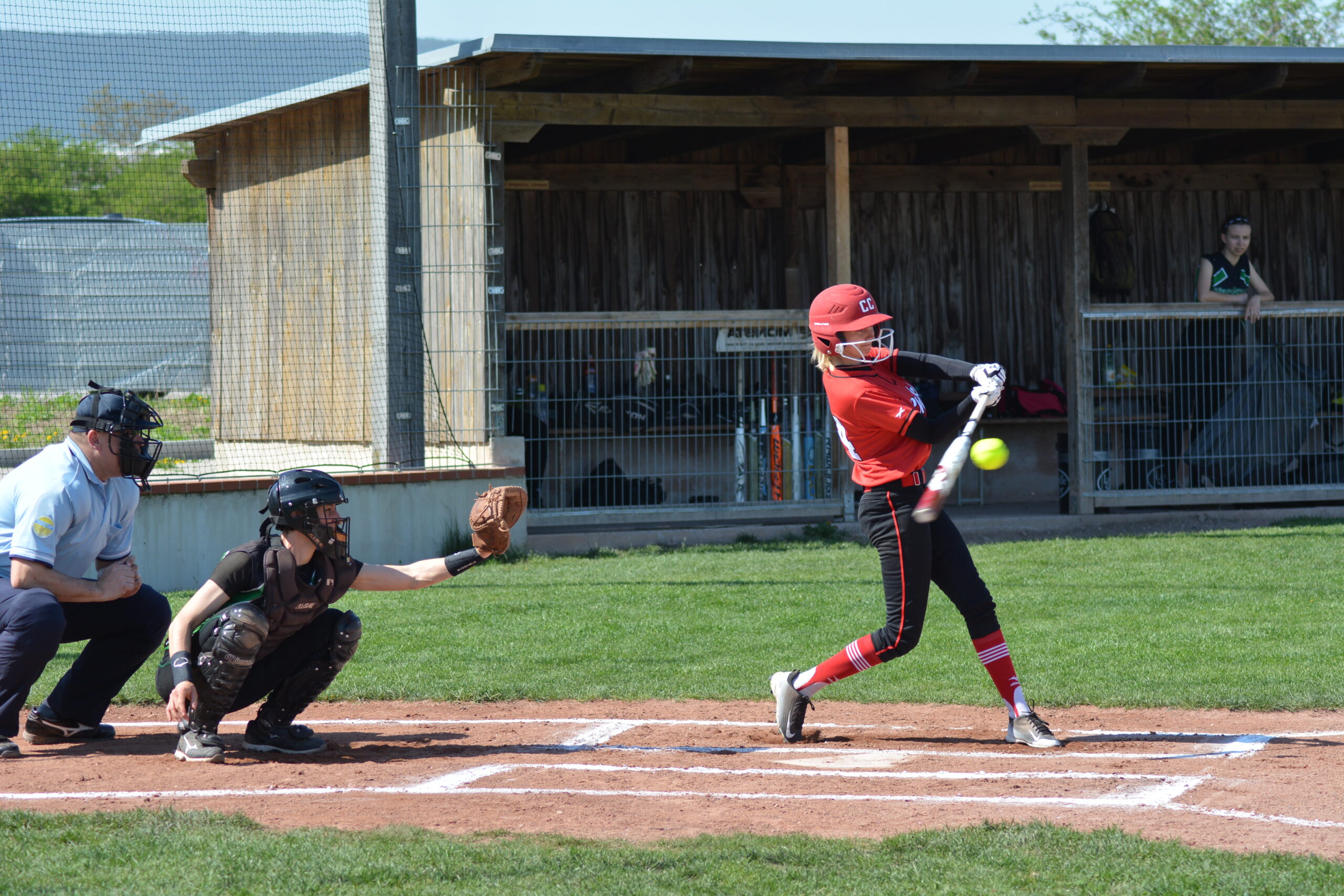 ASL Crazy Chicklets on fire Austrian Baseball Softball Federation