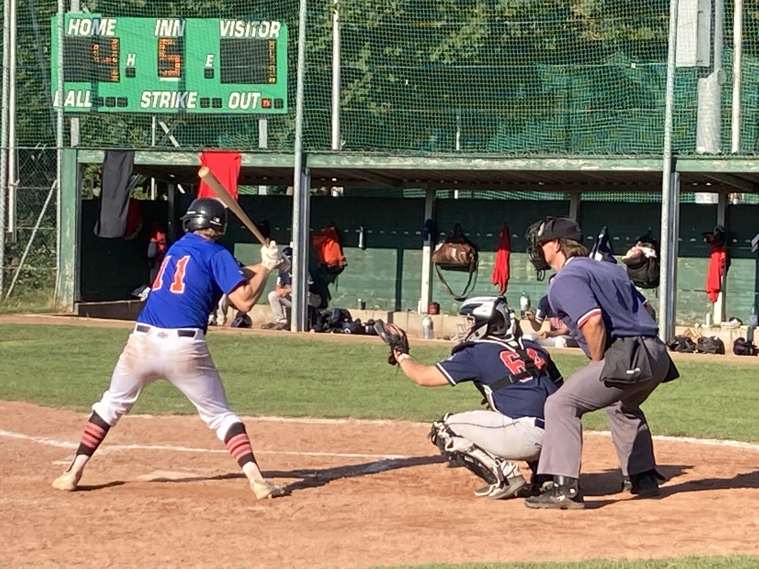 Vorjahresfinalisten splitten in Wien Austrian Baseball Softball